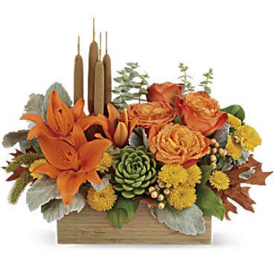 <div id="mark-1" class="m-pdp-tabs-marketing-description">Enjoy the serenity of the season with a fresh fall centerpiece that is as beautiful as it is soothing. This lush arrangement enchants in shades of peach, orange and green - combining roses, lilies and even a succulent plant! Hand-delivered in a natural-toned bamboo rectangle.</div>
 
<div id="desc-1">
<ul>
 	<li>This gorgeous centerpiece arrangement features orange roses, orange asiatic lilies, yellow cushion spray chrysanthemums, peach hypericum, millet, cattails and a succulent plant, and finished with dusty miller, spiral eucalyptus and lemon leaf.</li>
 	<li>Delivered in a rectangular wooden box.</li>
</ul>
</div>