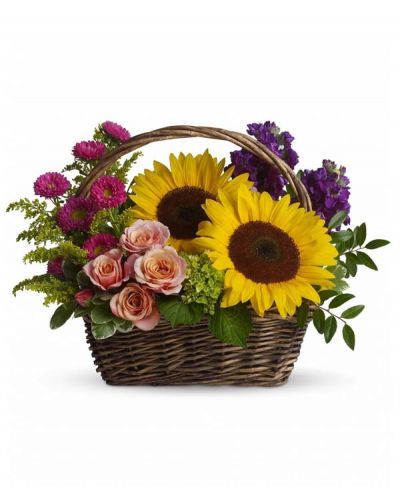 <p>Send this colorful gift basket of flowers to your favorite garden lover or flower-loving grandmother. Like a miniature summer garden, the fresh cut flowers will brighten her kitchen counter, bedside table, coffee table...any of her favorite places!</p>
<p>Large yellow sunflowers, peach roses, purple stock, miniature green hydrangea, and hot pink matsumoto asters are presented in a rectangular handled basket.<br />
Greens include solidago, huckleberry and variegated pittosporum.</p>