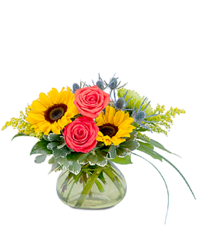 <p>Send sunlit splendor with bright but warm colors of sunflowers, roses and assorted accent flowers.</p>