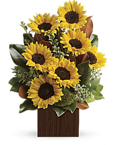 <p>Show her she’s golden with this sunny bouquet, and you can bet you’re golden, too. Stunning sunflowers are mixed with glossy magnolia leaves for a dramatic, day-brightening delivery!<br />
Bold, bright sunflowers are arranged with delicate oregonia, magnolia leaves, lemon leaf and moss.</p>