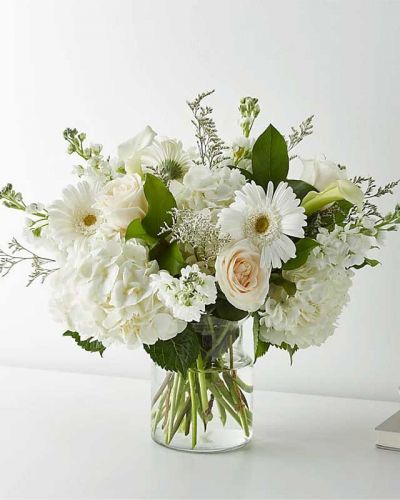 There's nothing plain about this beautiful bouquet. Filled with white roses, hydrangeas, gerbera daisies, mini calla lilies, and Limonium, this classic arrangement is the epitome of taste.